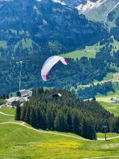 Engelberg Cup 2026, Photo: Thomas Lummerstorfer